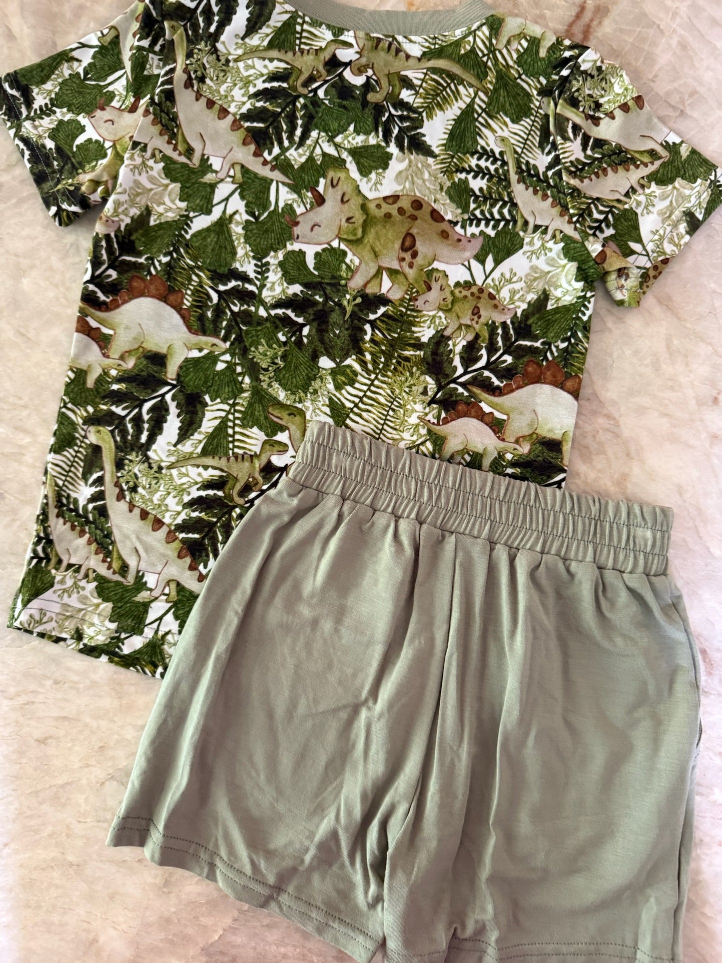 Dino Short Sleeve & Shorts Set