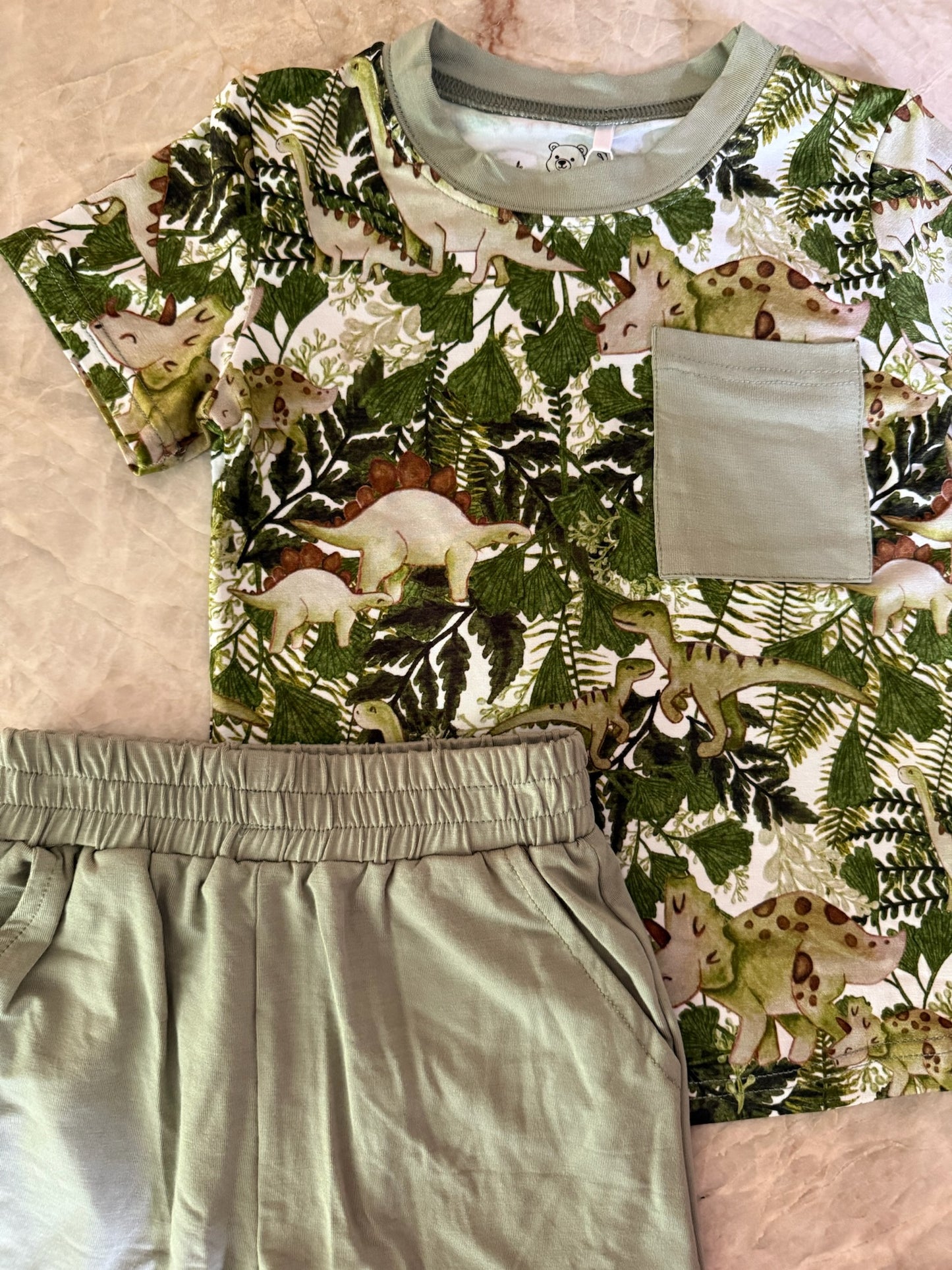 Dino Short Sleeve & Shorts Set