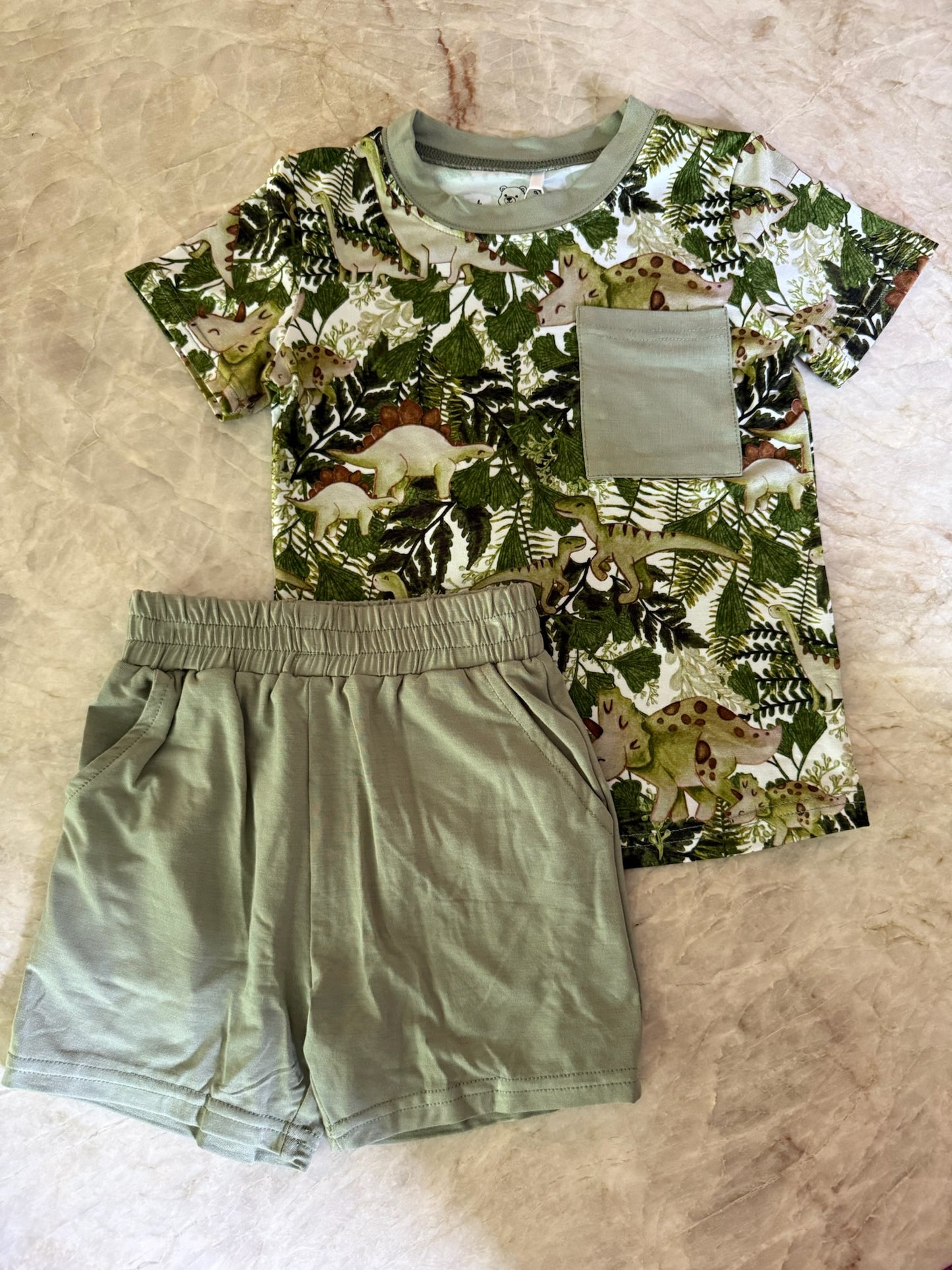 Dino Short Sleeve & Shorts Set
