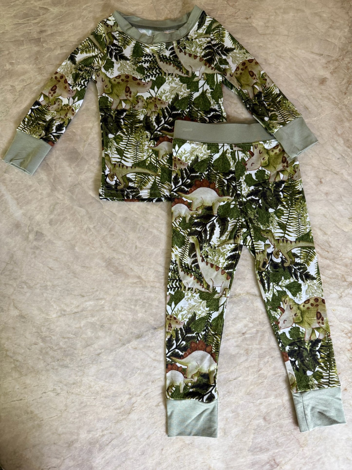Dino Two-Piece Pajama Set