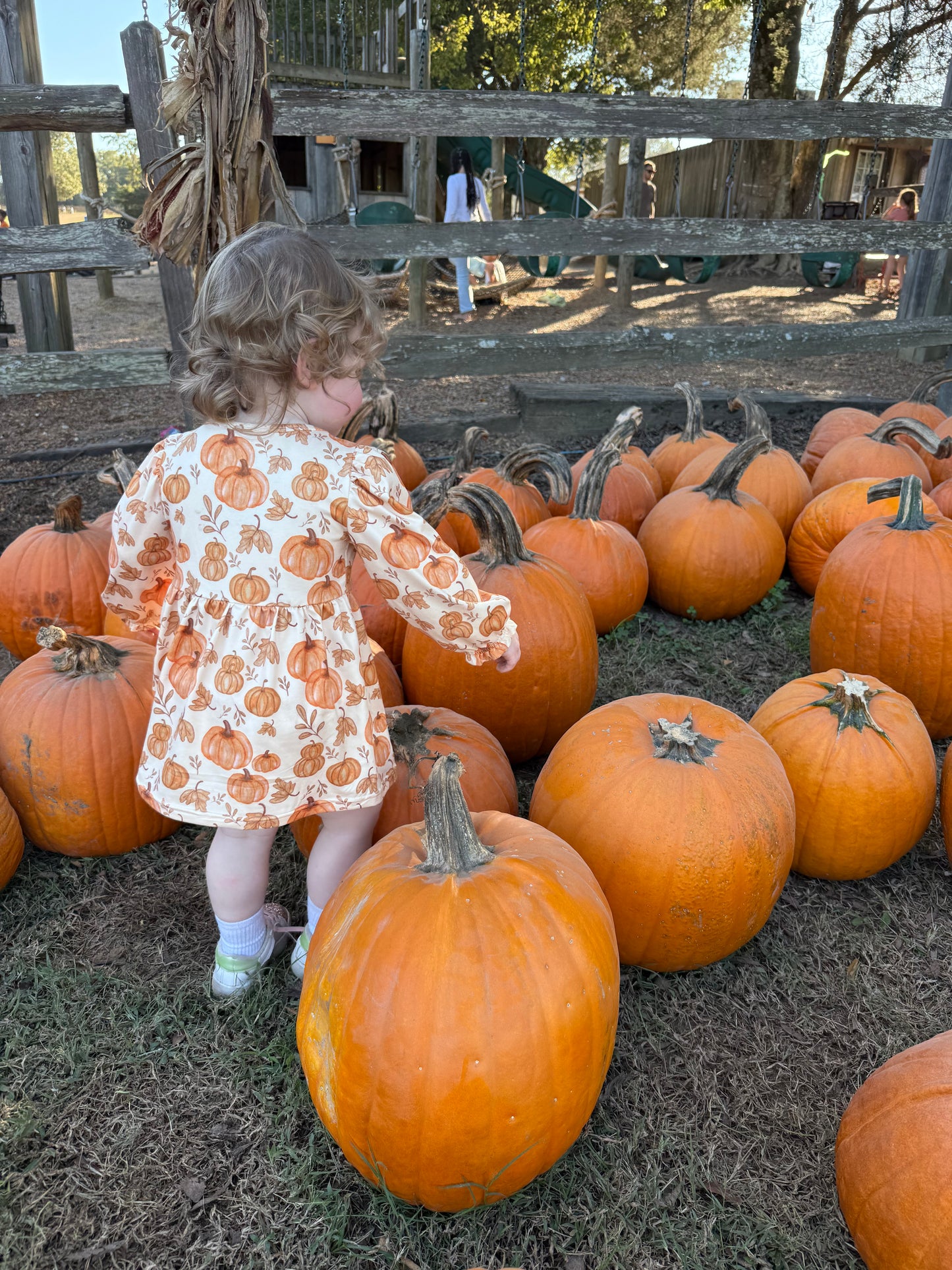 Boeing’s Patch Pumpkin Set